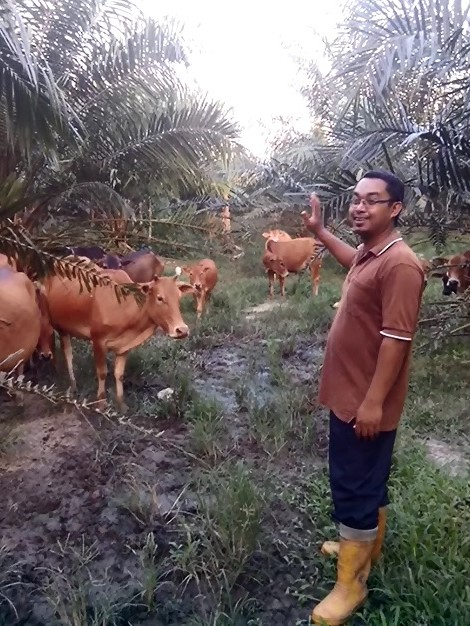 lembu